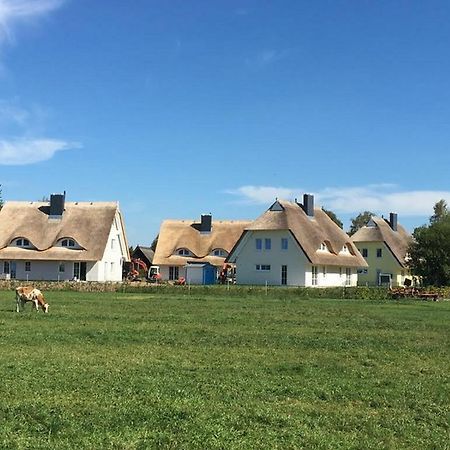 Reetdachhäuser Börgende Börgerende-Rethwisch Exterior foto