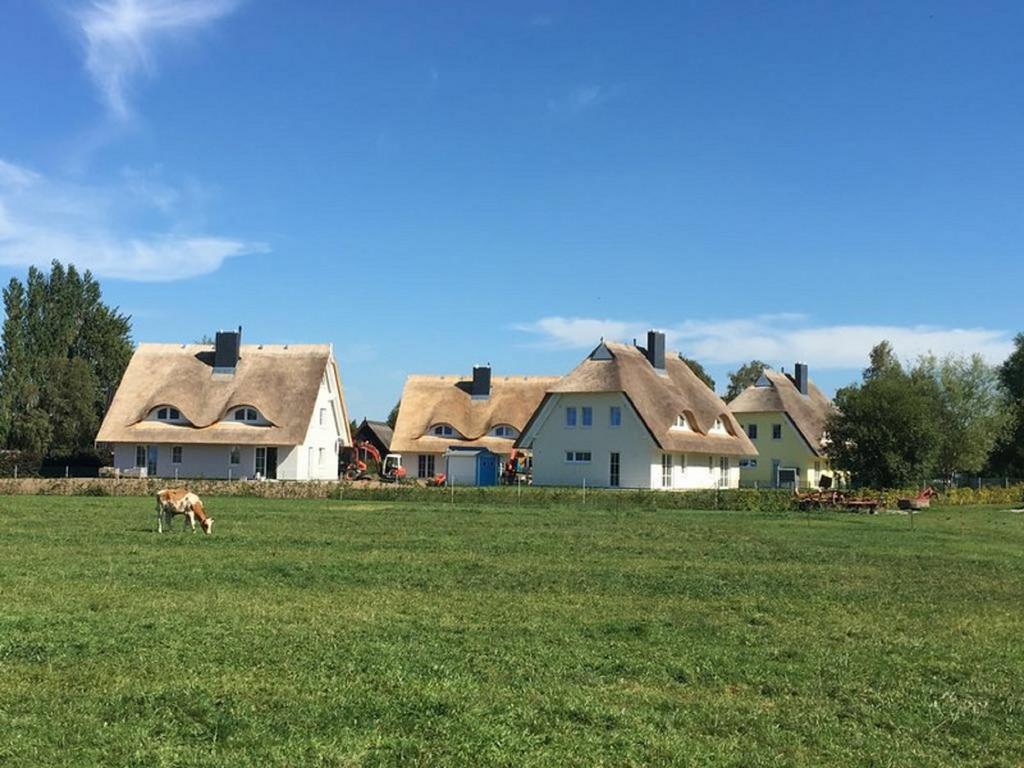 Reetdachhäuser Börgende Börgerende-Rethwisch Exterior foto